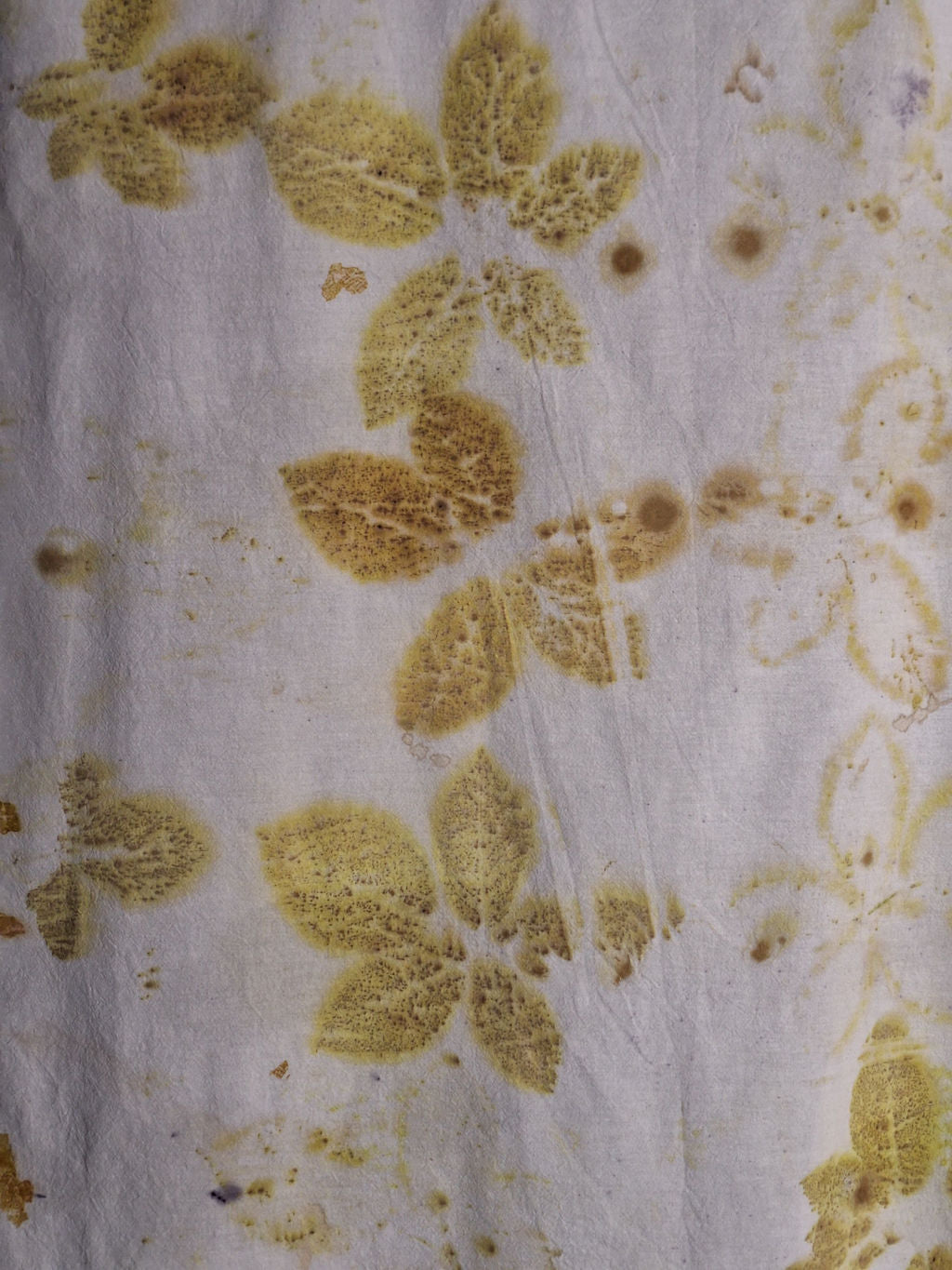 BEBE MUR| Pânză de Florian