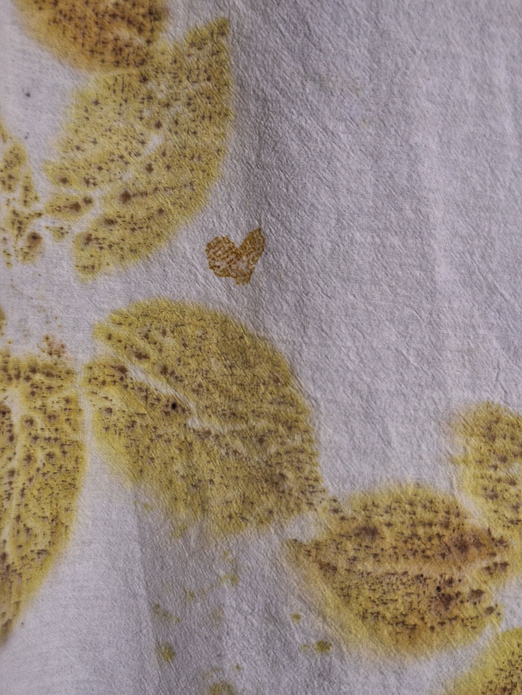 BEBE MUR| Pânză de Florian